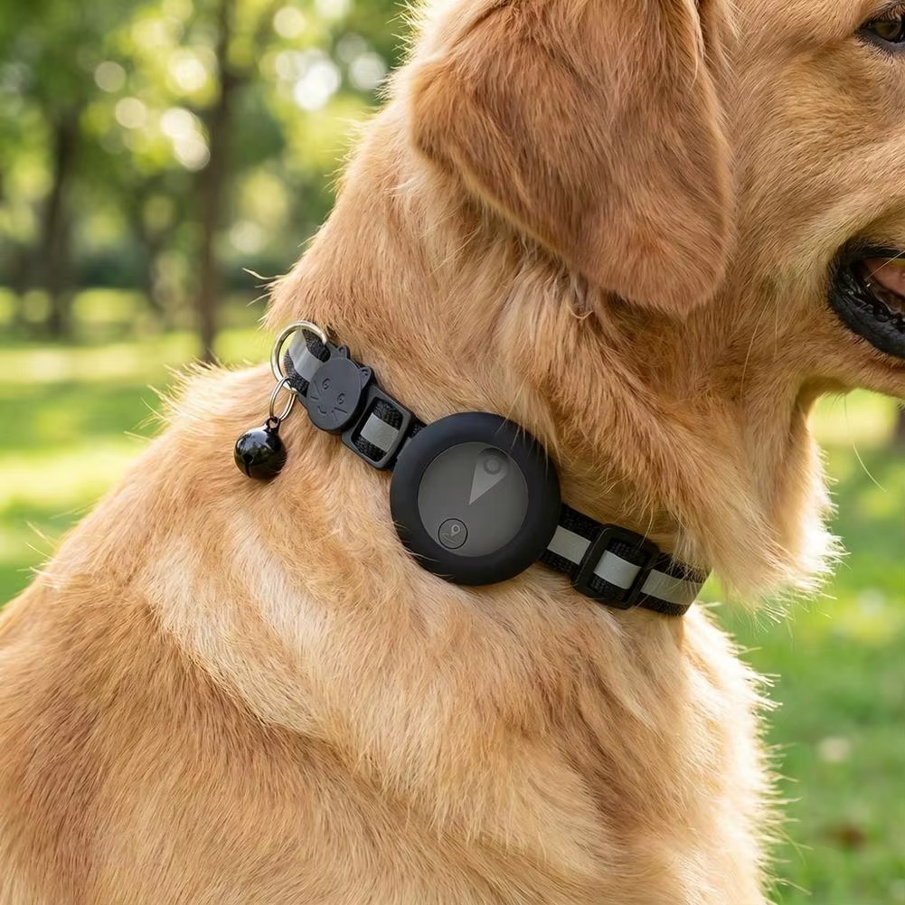 Coleira rastreadora PetTrack GPS no pescoço de um cachorro
