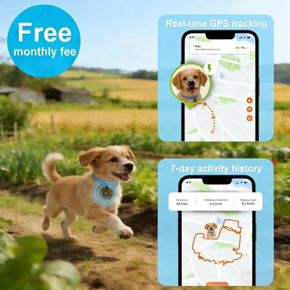 App PetTrack GPS — rastreamento em tempo real